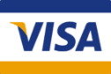 visa icon